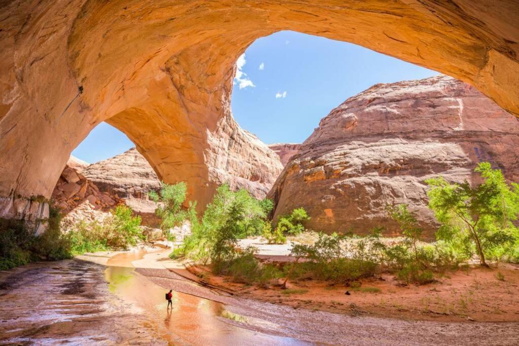 Red Rock Ranch Log Cabin: Large, Fully Furnished Escalante Bagian luar foto